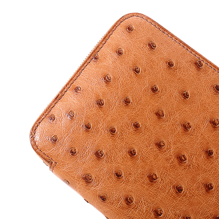 HERMES(愛馬仕) 棕色鴕鳥皮長款拉鏈錢夾