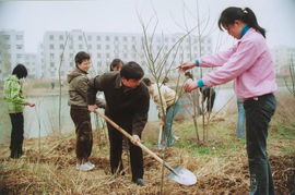 植樹綠化，重在管理——論綠化管理的核心價(jià)值與實(shí)踐路徑