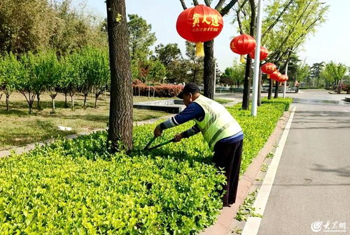 臨沭縣 以精細(xì)化綠化管理為抓手，全面提升城市治理水平